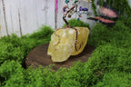 Color Burst Bonsai – Mixed Gemstone Wire Tree on Yellow Calcite