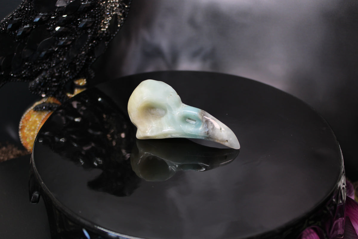Caribbean Calcite Raven Skull – Choose Your Exact Piece