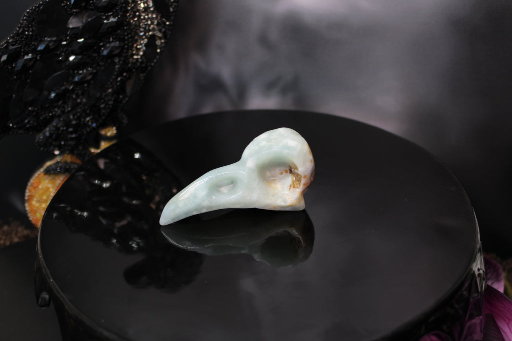 Caribbean Calcite Raven Skull – Choose Your Exact Piece