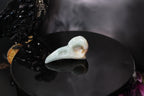 Caribbean Calcite Raven Skull – Choose Your Exact Piece