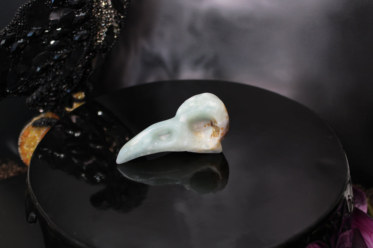 Caribbean Calcite Raven Skull – Choose Your Exact Piece