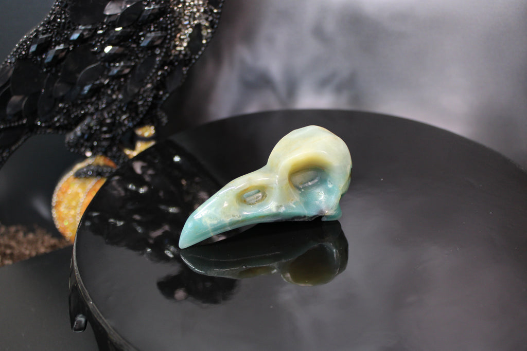 Caribbean Calcite Raven Skull – Choose Your Exact Piece