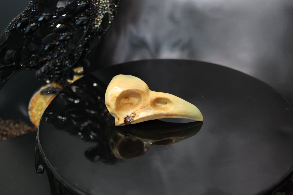 Caribbean Calcite Raven Skull – Choose Your Exact Piece
