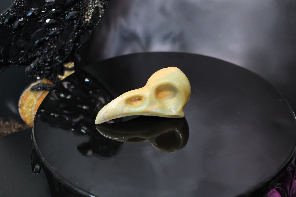 Caribbean Calcite Raven Skull – Choose Your Exact Piece