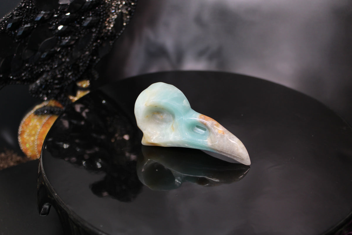 Caribbean Calcite Raven Skull – Choose Your Exact Piece