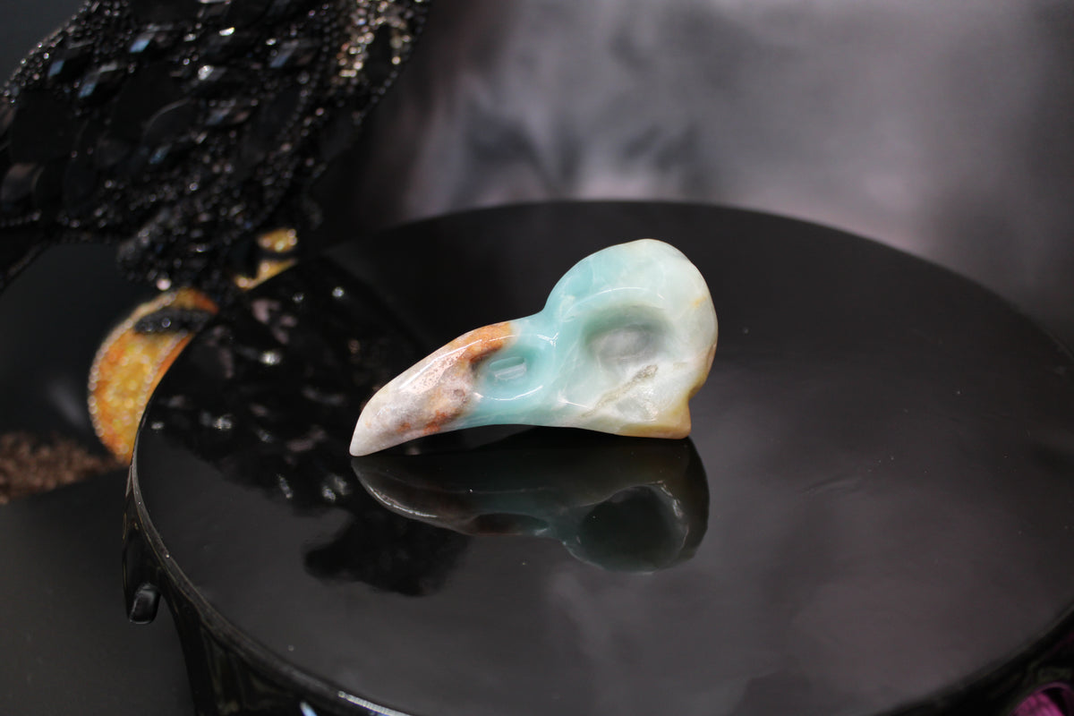 Caribbean Calcite Raven Skull – Choose Your Exact Piece
