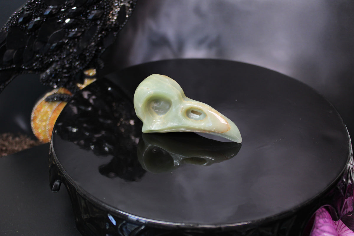 Caribbean Calcite Raven Skull – Choose Your Exact Piece