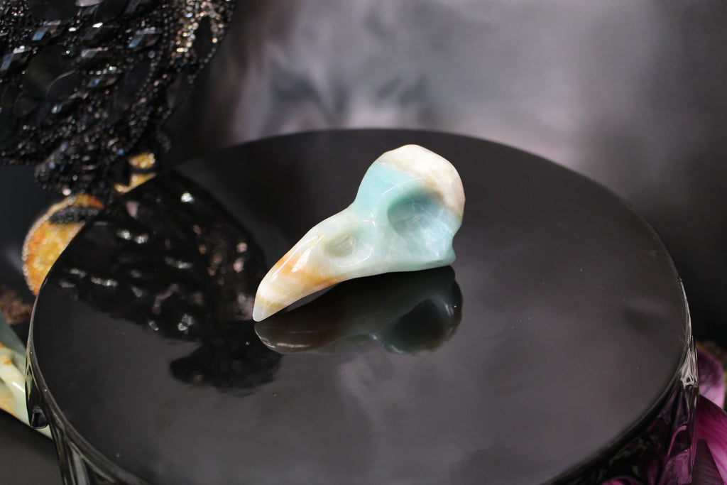 Caribbean Calcite Raven Skull – Choose Your Exact Piece