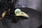 Caribbean Calcite Raven Skull – Choose Your Exact Piece