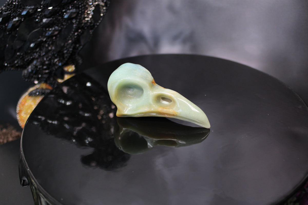 Caribbean Calcite Raven Skull – Choose Your Exact Piece