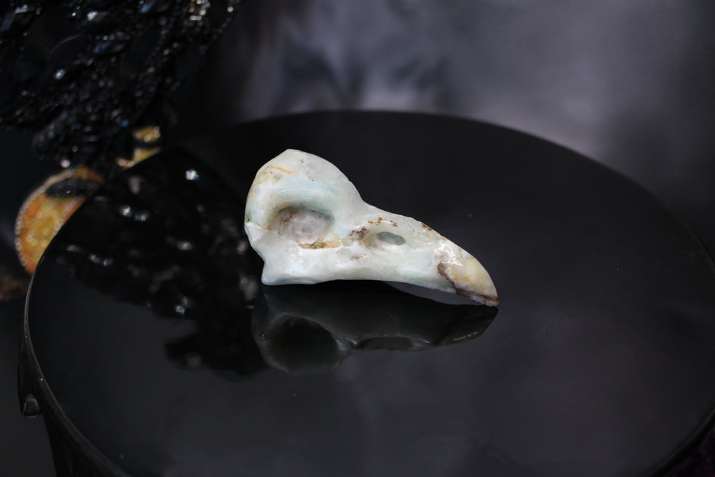 Caribbean Calcite Raven Skull – Choose Your Exact Piece