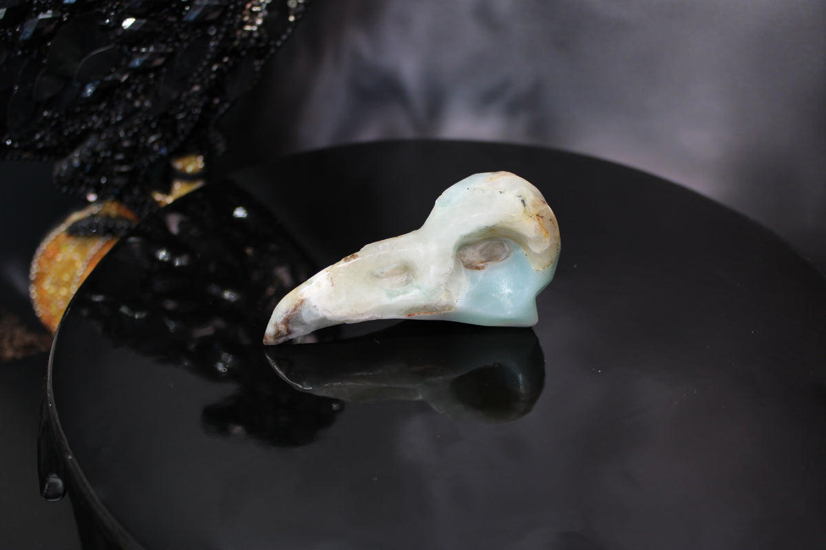 Caribbean Calcite Raven Skull – Choose Your Exact Piece