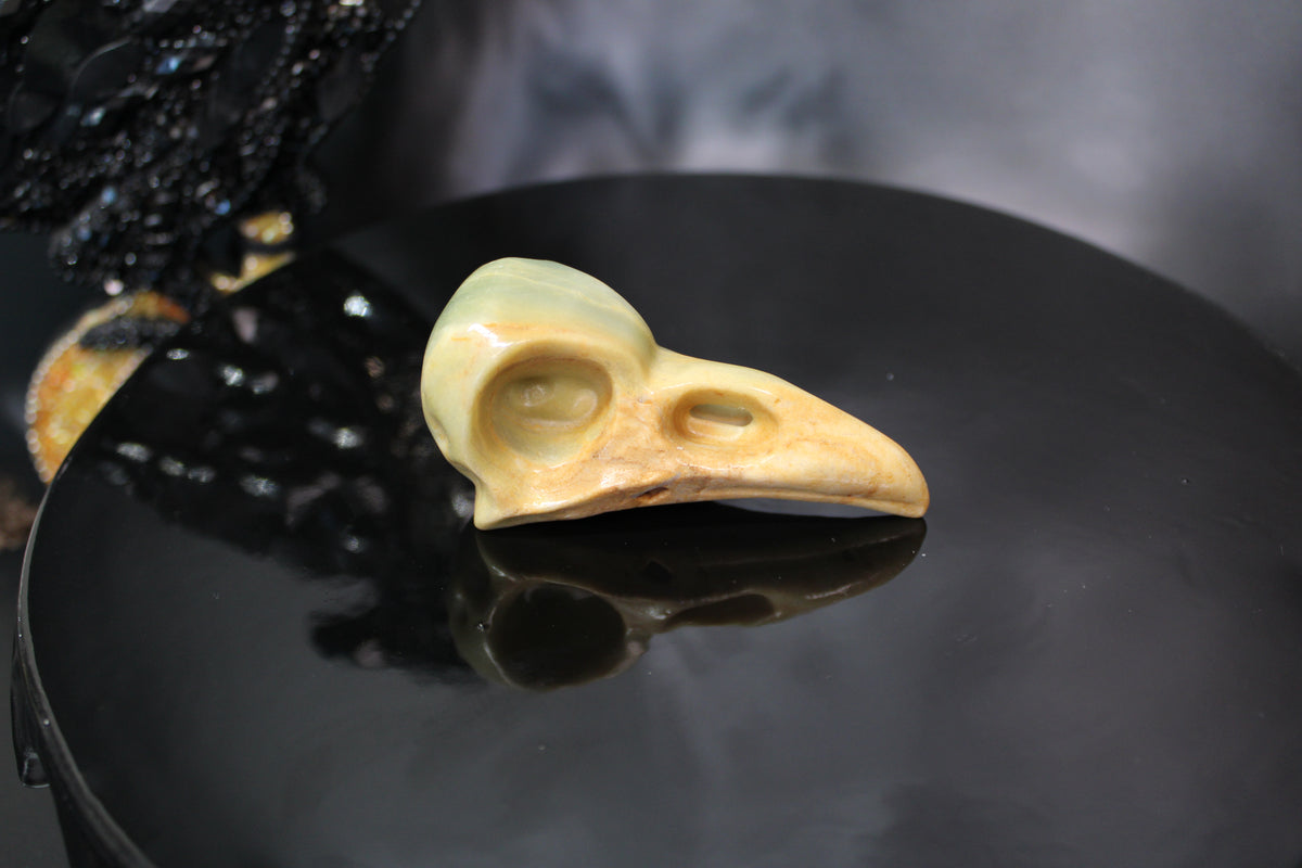 Caribbean Calcite Raven Skull – Choose Your Exact Piece