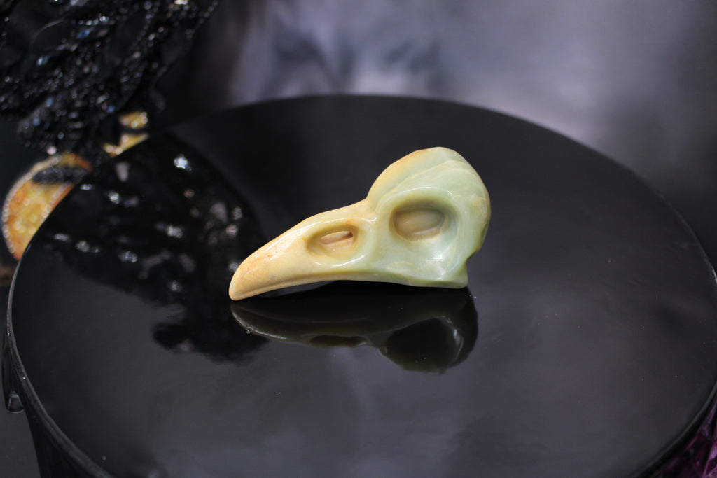 Caribbean Calcite Raven Skull – Choose Your Exact Piece
