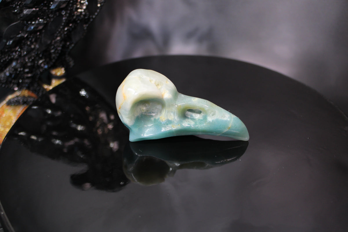 Caribbean Calcite Raven Skull – Choose Your Exact Piece