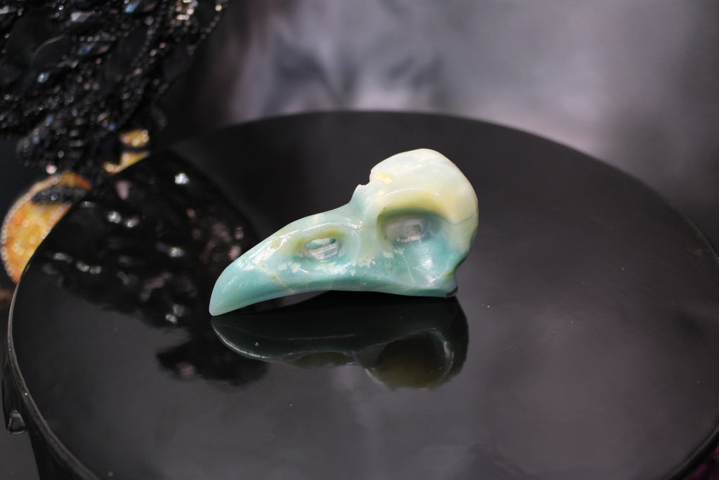 Caribbean Calcite Raven Skull – Choose Your Exact Piece