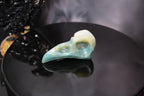 Caribbean Calcite Raven Skull – Choose Your Exact Piece