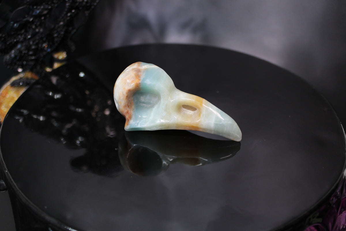 Caribbean Calcite Raven Skull – Choose Your Exact Piece