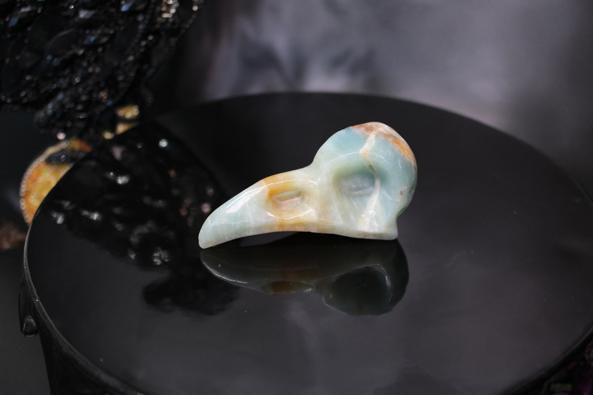 Caribbean Calcite Raven Skull – Choose Your Exact Piece