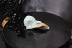 Caribbean Calcite Raven Skull – Choose Your Exact Piece