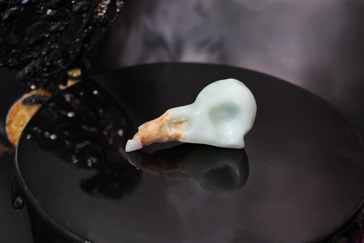 Caribbean Calcite Raven Skull – Choose Your Exact Piece