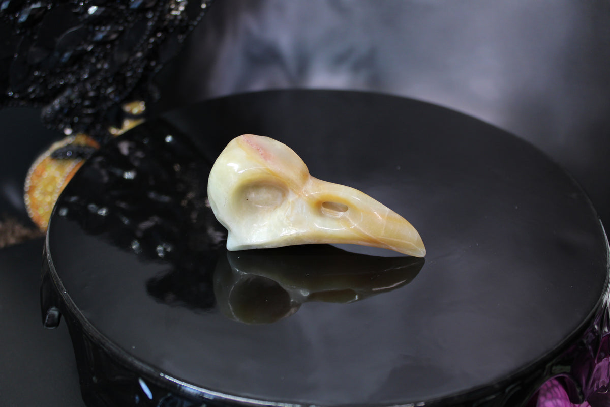 Caribbean Calcite Raven Skull – Choose Your Exact Piece