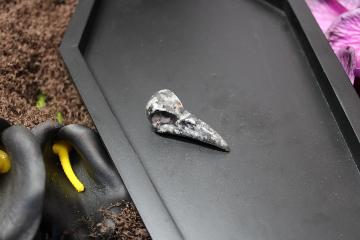 Raven Skull Crystal Carving – You Choose