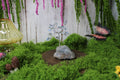 Eye of the Storm Bonsai – Blue Calcite Gemstone Tree