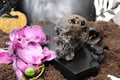 Fluorite Skulls, You Choose – UV Reactive