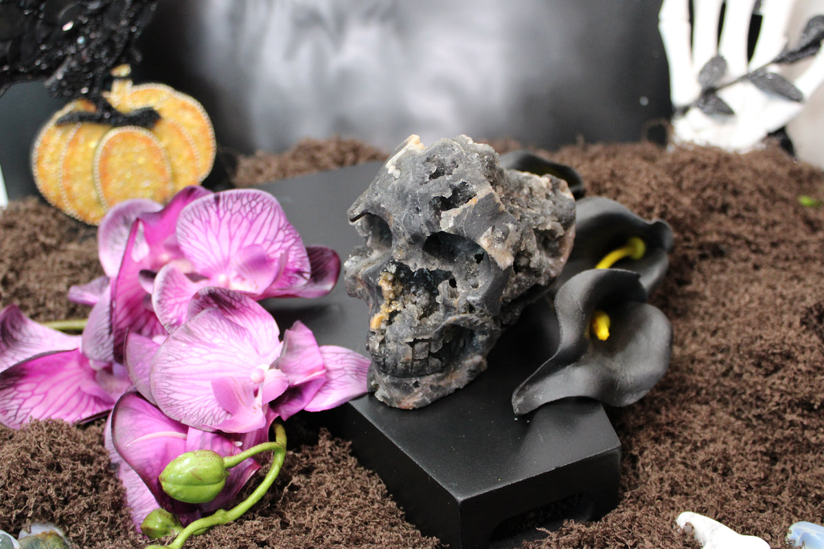 Fluorite Skulls, You Choose – UV Reactive