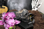 Fluorite Skulls, You Choose – UV Reactive
