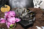 Fluorite Skulls, You Choose – UV Reactive