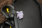 Quality Grape Agate – Choose Your Exact Piece