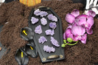 Quality Grape Agate – Choose Your Exact Piece
