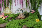 Green Earth Goddess Willow – Indian Agate Gemstone Tree on Natural Stone