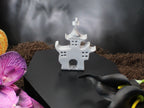 Tai Chi Haunted House