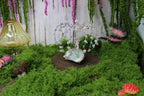 Enchanted Dawn Willow – Kunzite & Amazonite Gemstone Tree