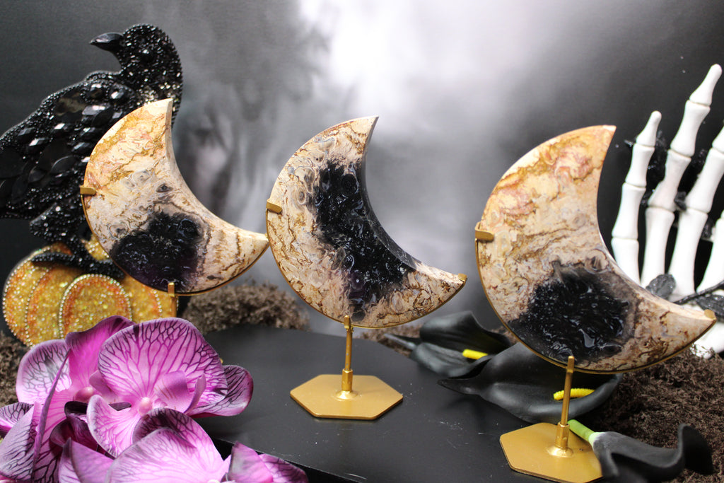 Palm Root Crescent Moon – Choose Your Piece