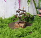 Stormwood Sentinel – Pietersite Gemstone Tree on Tiger’s Eye