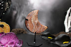 Pink Crazy Lace Agate Moon – Choose Your Piece