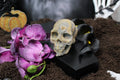 Sakura Agate Skull – Choose Your Piece