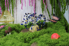 Starriest Night – Lapis Lazuli & Citrine Willow Tree on Yellow Calcite