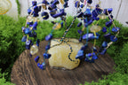 Starriest Night – Lapis Lazuli & Citrine Willow Tree on Yellow Calcite