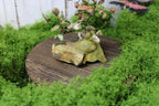 Forestheart Bonsai – Unakite Wire Tree on Pistachio Opal