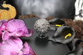 Yooperlite Moon Sphere