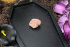 Zincite Crystal Specimen – Choose Your Exact Piece