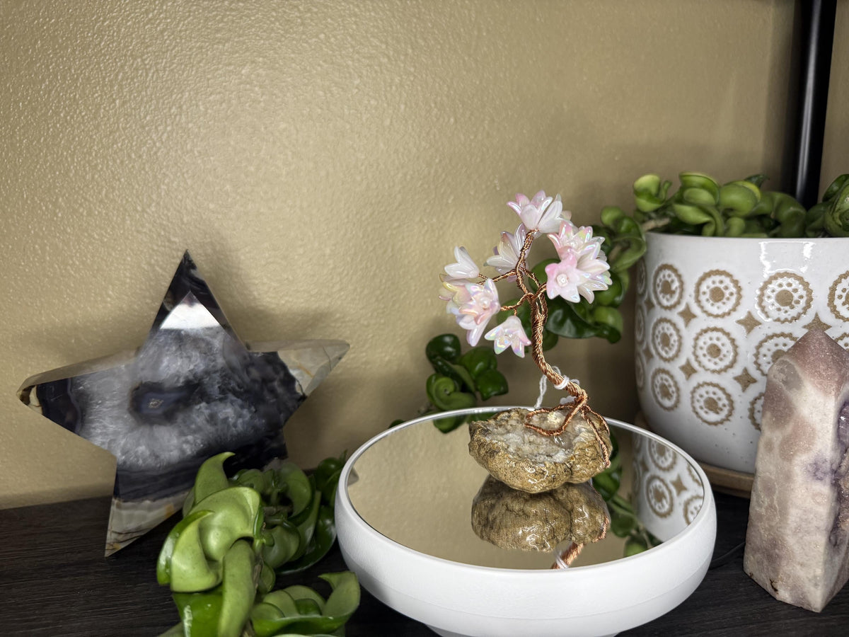 Made To Order Pink Blossom Romance Bonsai Tree