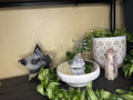 Made To Order Eye of the Storm Bonsai