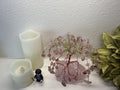 Made to Order Strawberry Trees Forever Willow