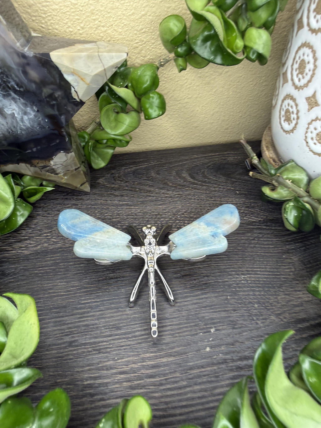 Trolleite Dragonfly